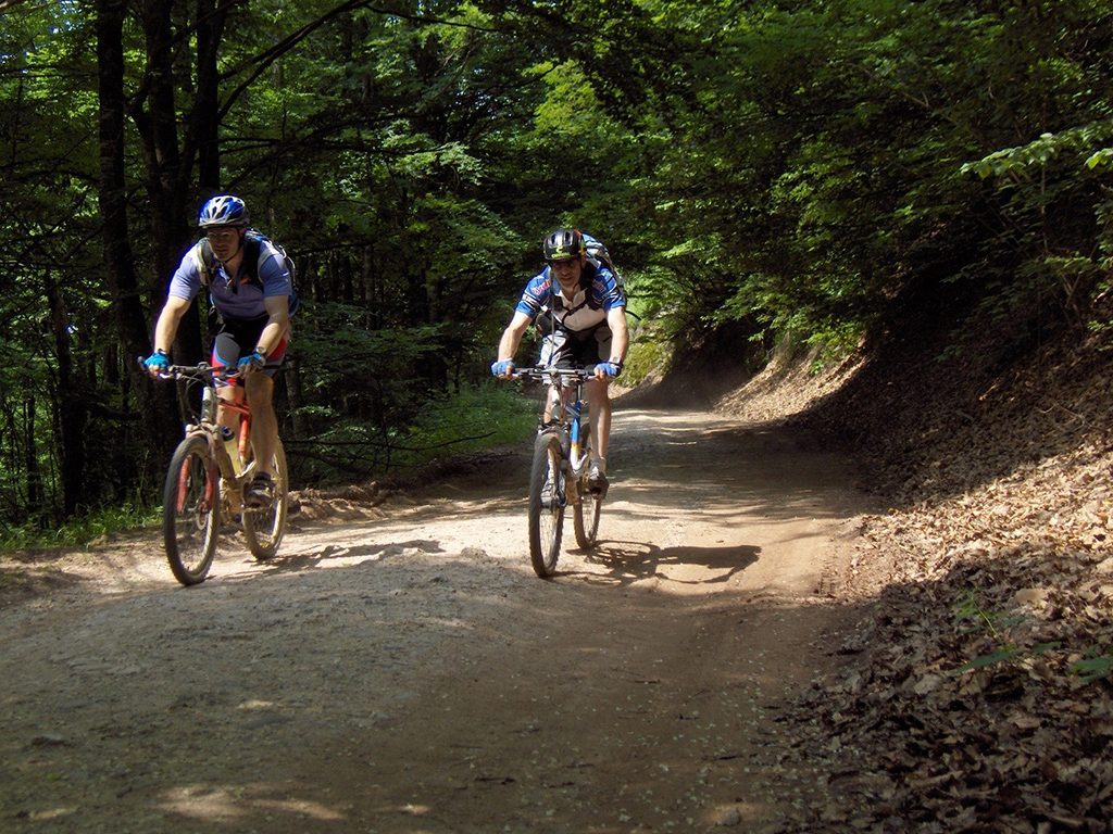 Padurea-Craiului-ture-bicicleta