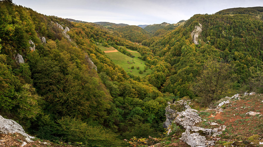 Stanu-Cerbului-IMG_9439